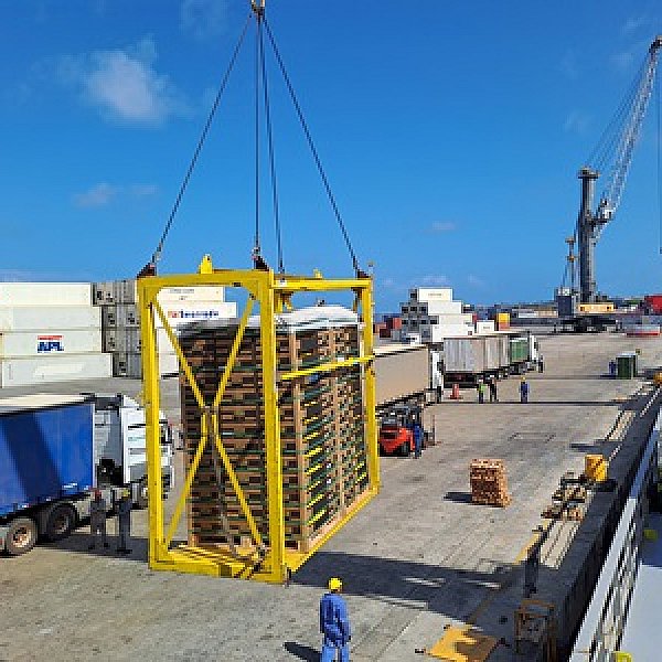 Navigating New Horizons: TWS Maritime Service's Role in Fortaleza's Fruit Export Boom