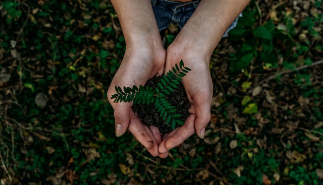 Environmental Issues and Sustainability: Why We Need to Act Now