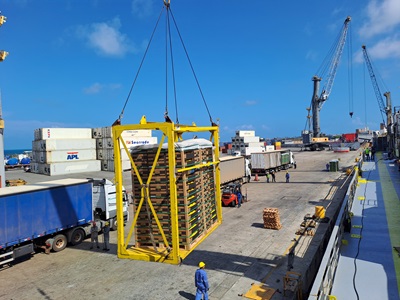 Navigating New Horizons: TWS Maritime Service's Role in Fortaleza's Fruit Export Boom